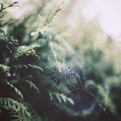 vip08贵宾会平台/手机APP下载